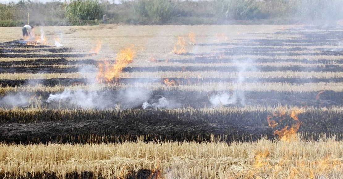 La respuesta de la junta no satisface a los agricultores