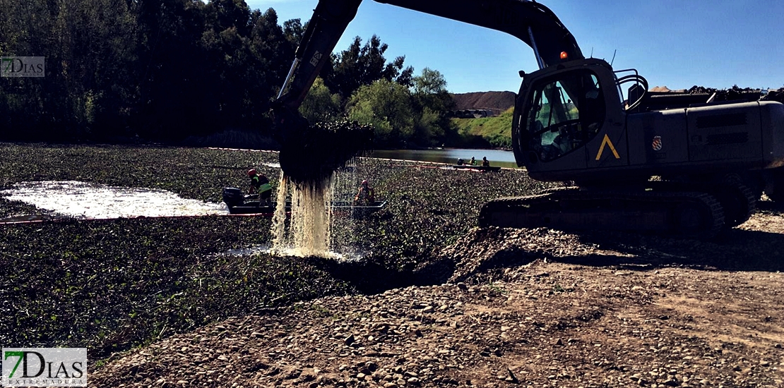 La UME saca del río 63.000 toneladas de camalote