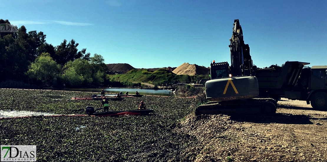 La UME saca del río 63.000 toneladas de camalote