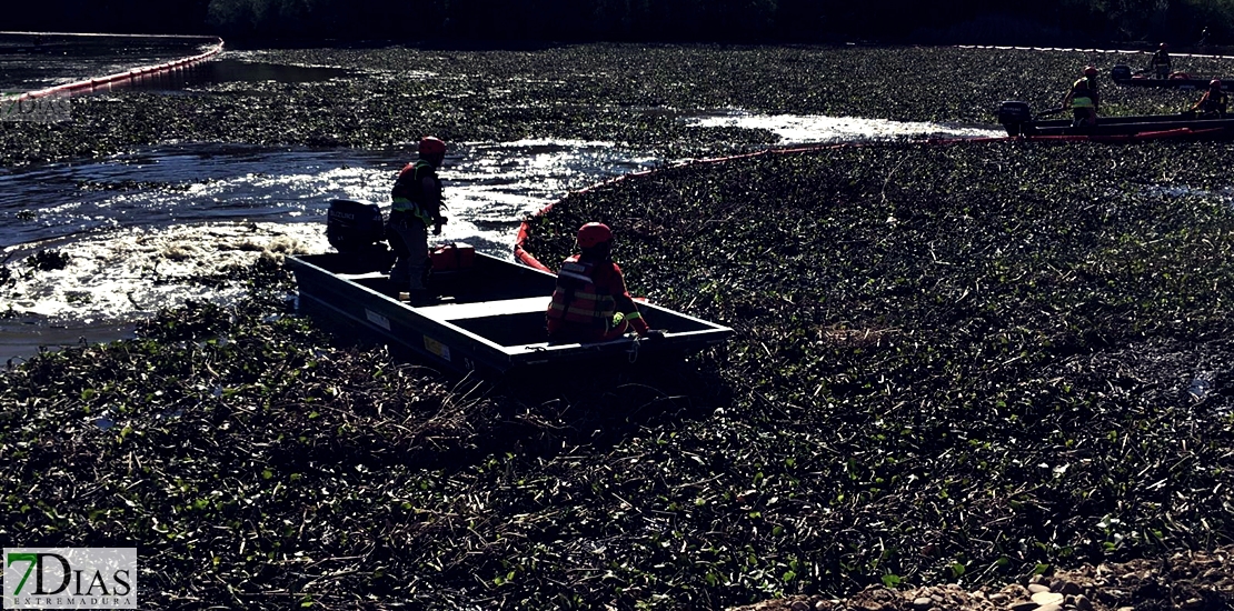 La UME saca del río 63.000 toneladas de camalote