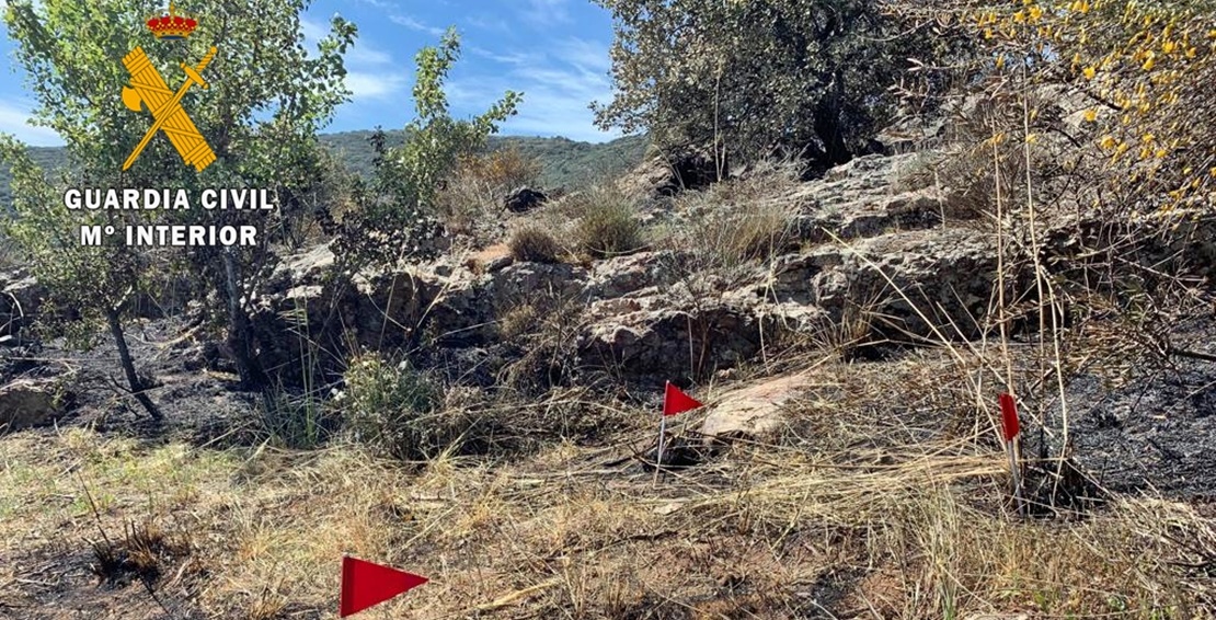 La negligencia de un agricultor ocasionó un incendio forestal