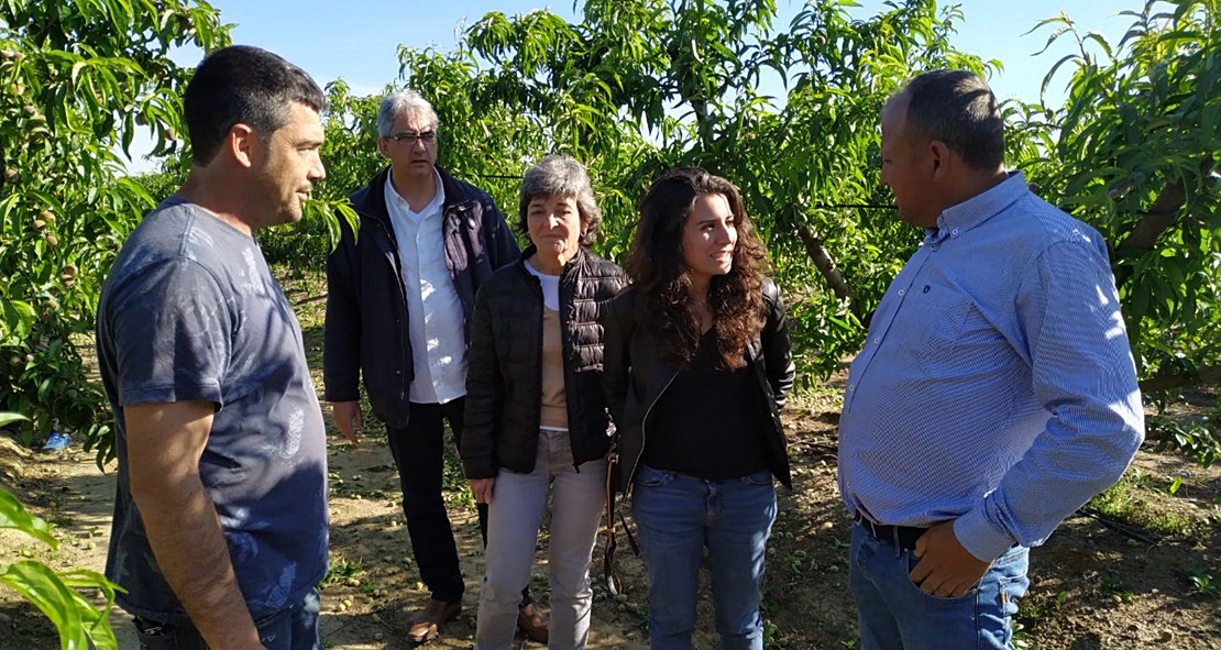 Podemos anuncia una ley para establecer el precio mínimo para el campo