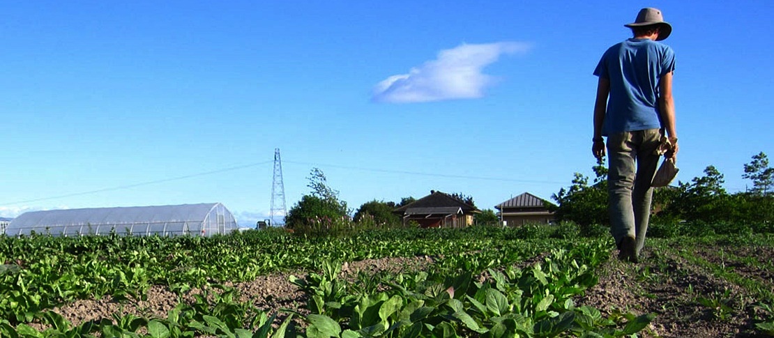 Piden más plazo para solicitar la PAC por los problemas informáticos