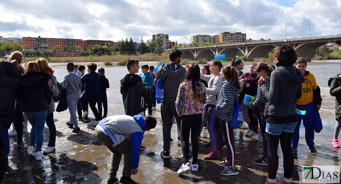 “Uno, dos, tres ¡Viva el pueblo gitano!” resuena en Badajoz