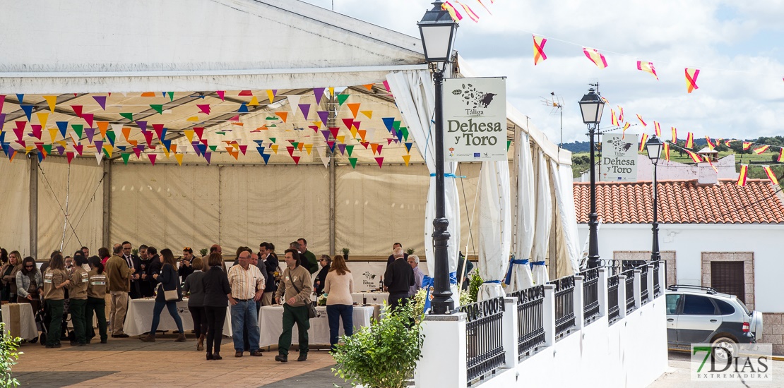 Los mejor de la Dehesa y el Toro este fin de semana en Taliga