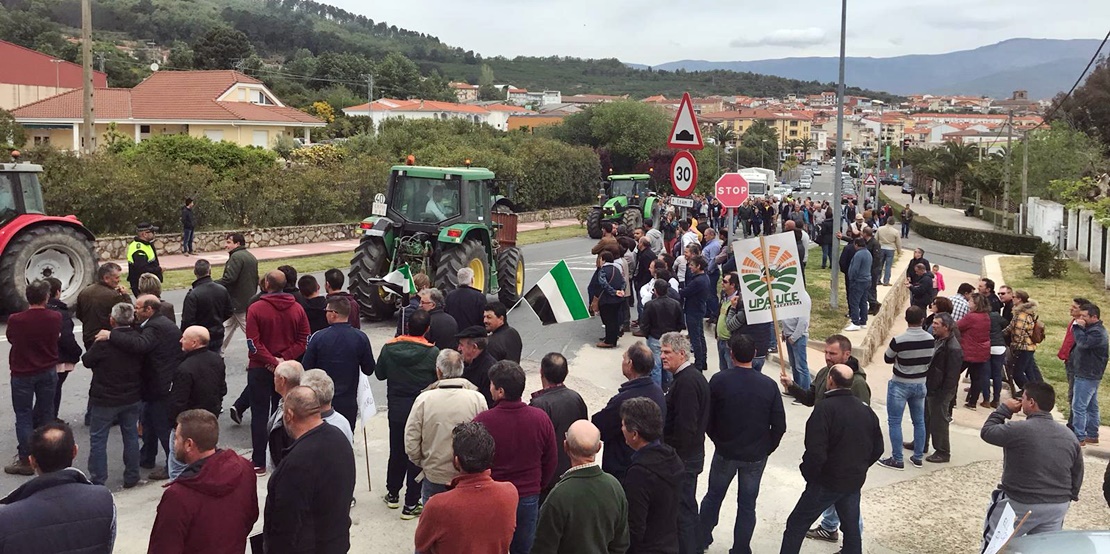 Los agricultores piden una subida de precios para el pimentón extremeño