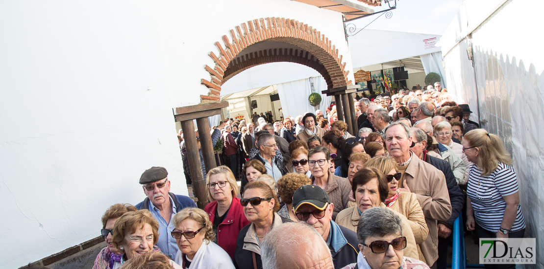 Ambiente en el Certamen del Cerdo Ibérico de Barcarrota (BA)