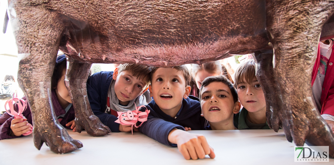 Ambiente en el Certamen del Cerdo Ibérico de Barcarrota (BA)