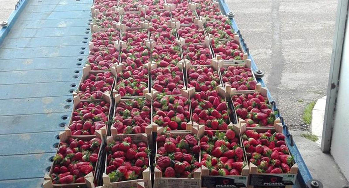 Vender fresas en el mercadillo sale caro