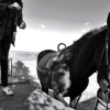 Conoce los ganadores del concurso fotográfico ‘Sin Barreras’ de APAMEX