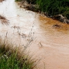 Así están los arroyos tras las fuertes tormentas de ayer