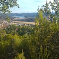 Dura crítica del Tribunal de Cuentas a la Gestión Ambiental en Extremadura