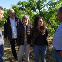 Podemos llevará en su programa una ley para establecer el precio mínimo para el campo