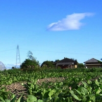 Piden ampliar el plazo para solicitar la PAC por los problemas informáticos