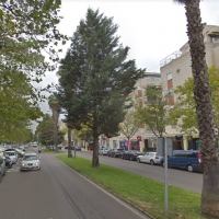 PSOE: “Un vecino de la avenida es quien limpia el jardín de José María Alcaráz y Alenda”