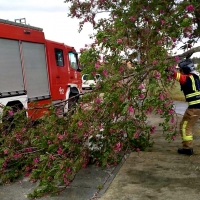 VIENTO: El 112 Extremadura recibe 1.500 llamadas en menos de 24 horas