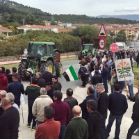 Los agricultores piden una subida de precios para el pimentón extremeño