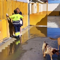 El PSOE dice no a la "posible" privatización de la perrera municipal en Badajoz