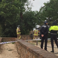 Un árbol de grandes dimensiones lesiona a un hombre en Badajoz