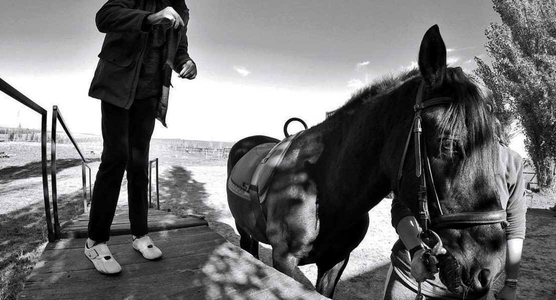 Conoce los ganadores del concurso fotográfico ‘Sin Barreras’ de APAMEX