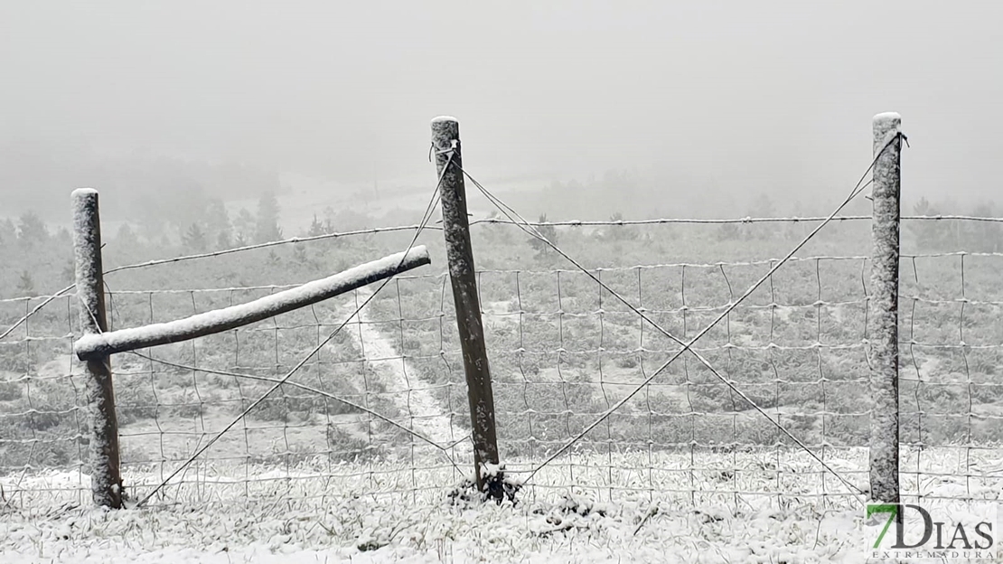 Se cumplieron las previsiones