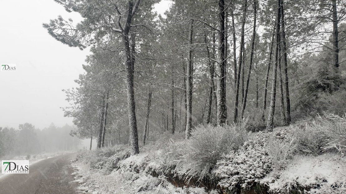 Se cumplieron las previsiones