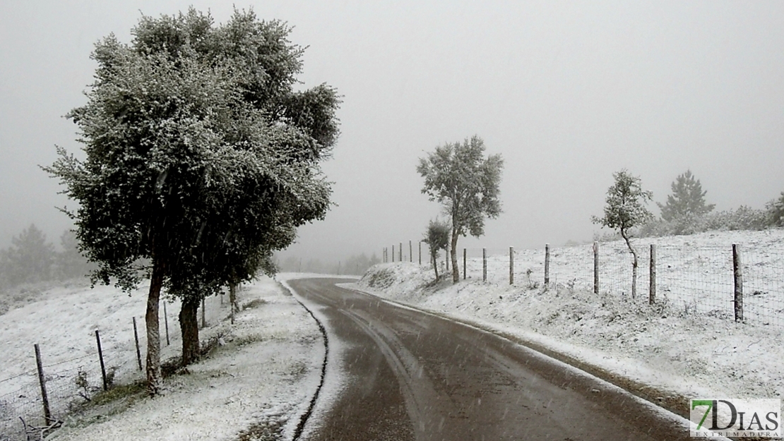 Se cumplieron las previsiones