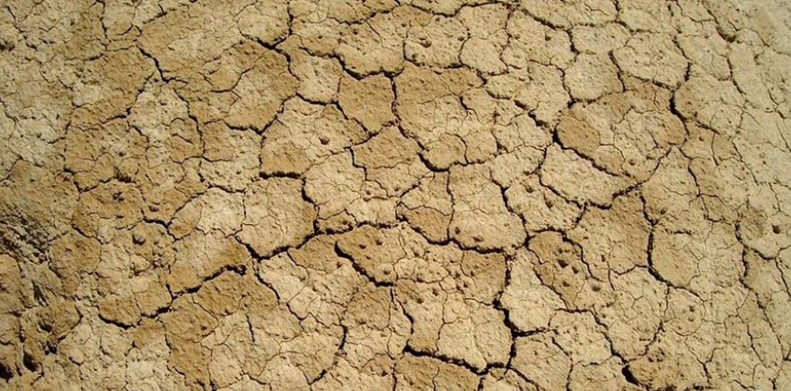 Ganaderos extremeños “indefensos e impotentes” ante la sequía