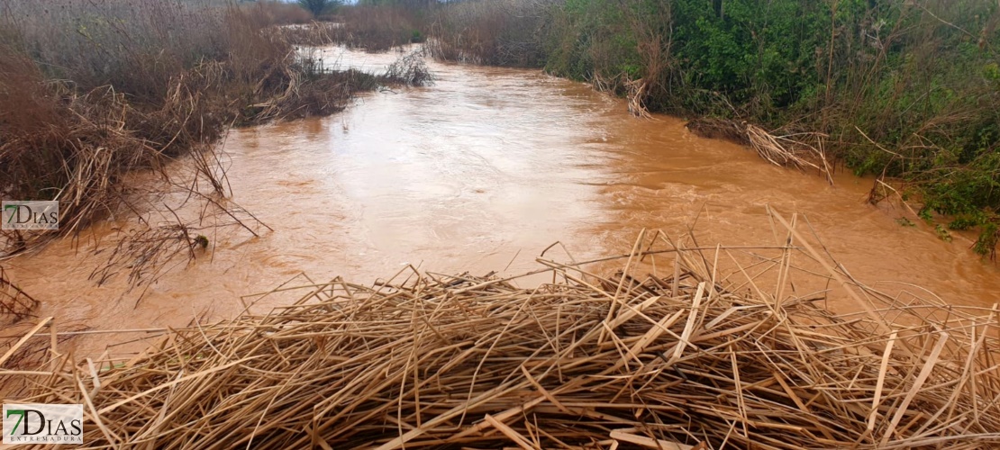 Así están los arroyos tras las fuertes tormentas de ayer