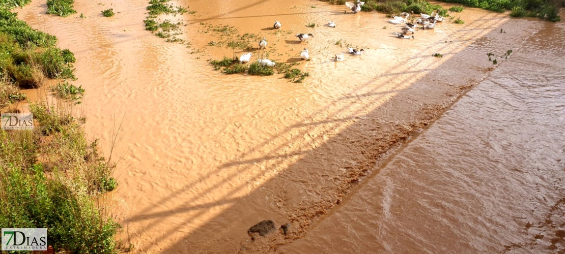 Así están los arroyos tras las fuertes tormentas de ayer