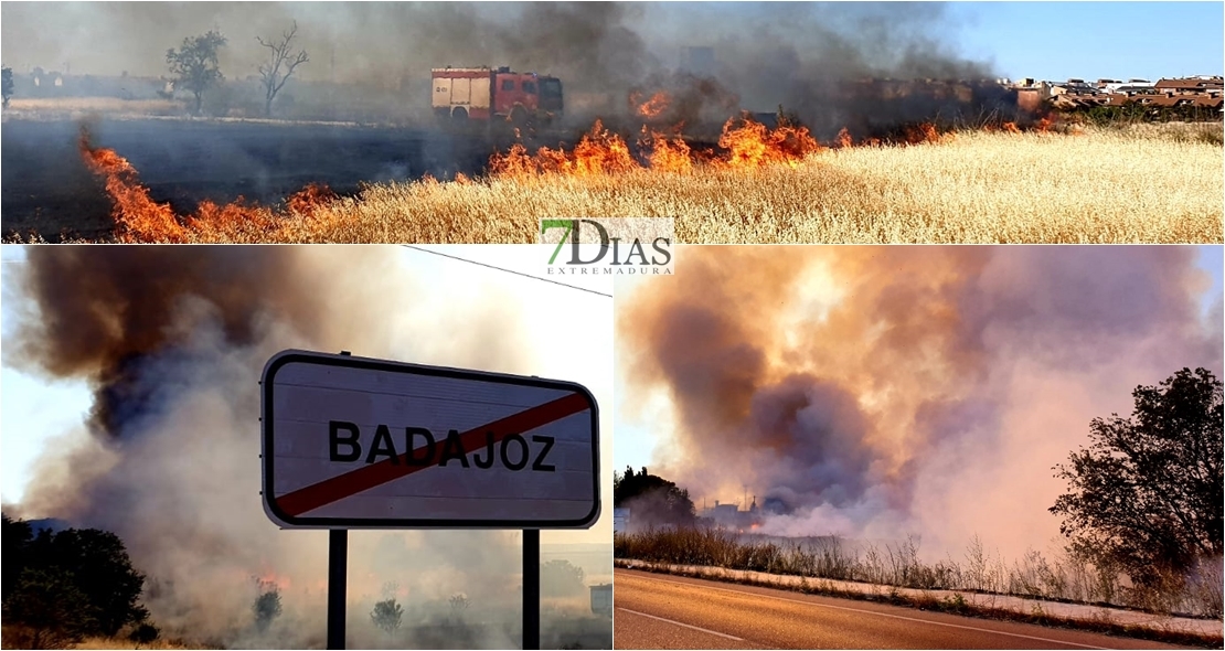 Cortan la carretera de Olivenza debido a un importante incendio en Badajoz