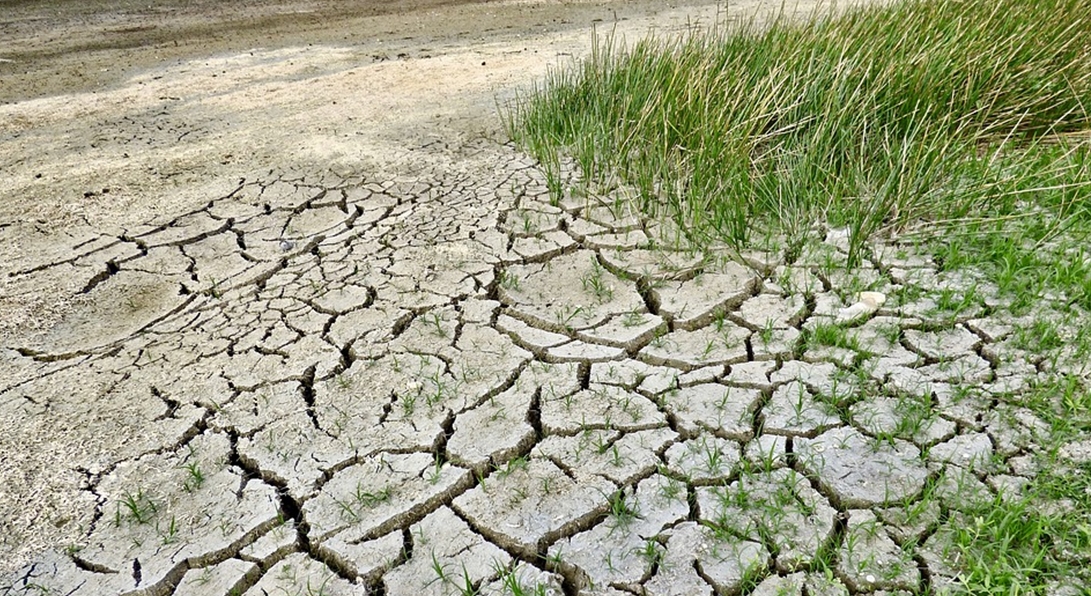 El cambio climático muta la agricultura extremeña