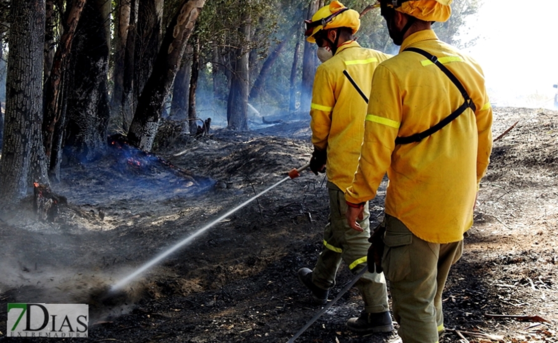 SGTEX denuncia que la Junta podría poner en peligro a sus Agentes Forestales