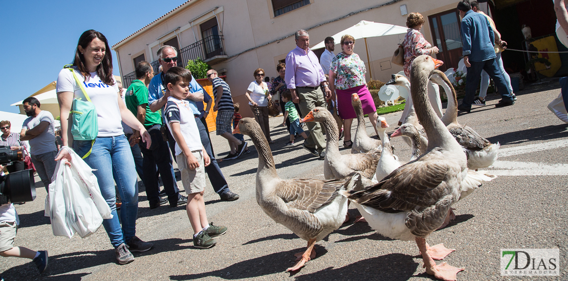 Ambiente en la Feria de la Trashumancia de Valverde de Leganés