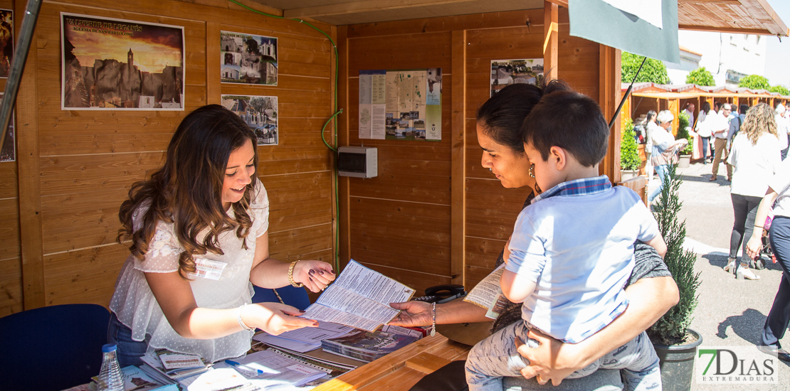 REPOR: Valverdeños y turistas disfrutan de la Trashumancia