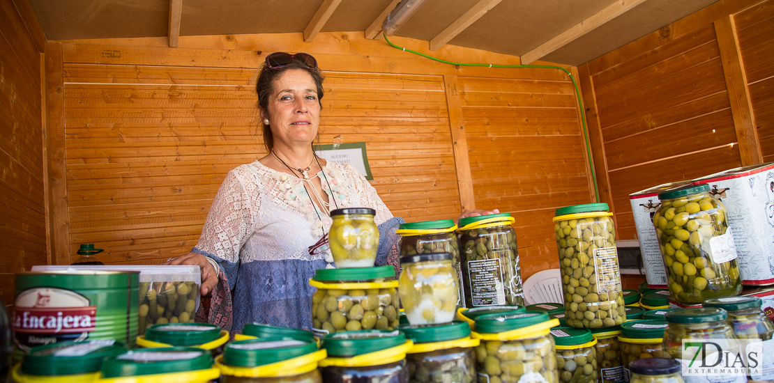 REPOR: Valverdeños y turistas disfrutan de la Trashumancia