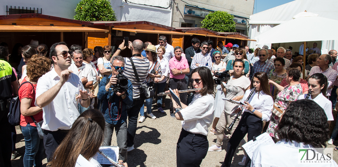 REPOR: Valverdeños y turistas disfrutan de la Trashumancia