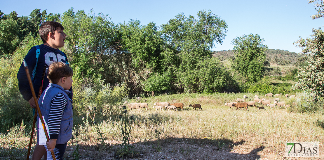 Los valverdeños realizan la ruta de la trashumancia