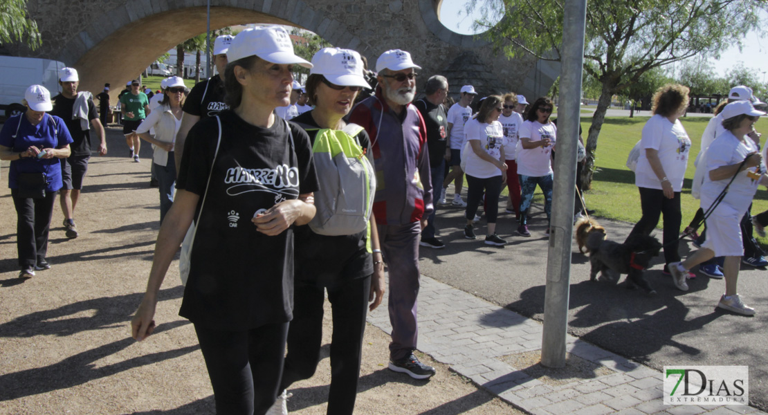 Imágenes de la Marcha Solidaria Lucha de Gigantes Contra el Hambre