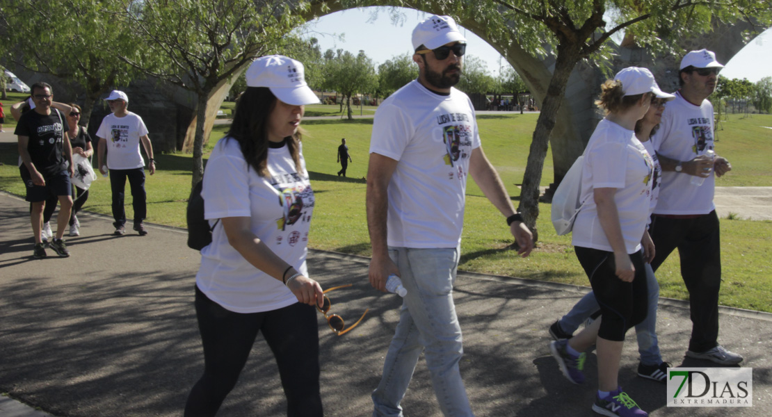 Imágenes de la Marcha Solidaria Lucha de Gigantes Contra el Hambre