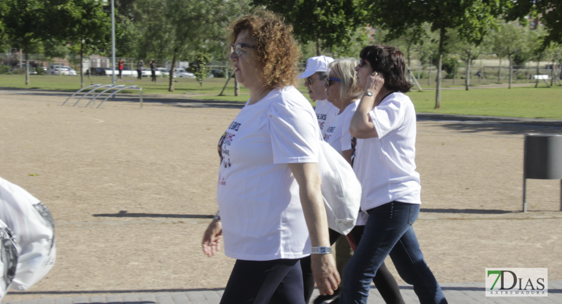 Imágenes de la Marcha Solidaria Lucha de Gigantes Contra el Hambre