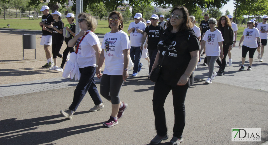 Imágenes de la Marcha Solidaria Lucha de Gigantes Contra el Hambre