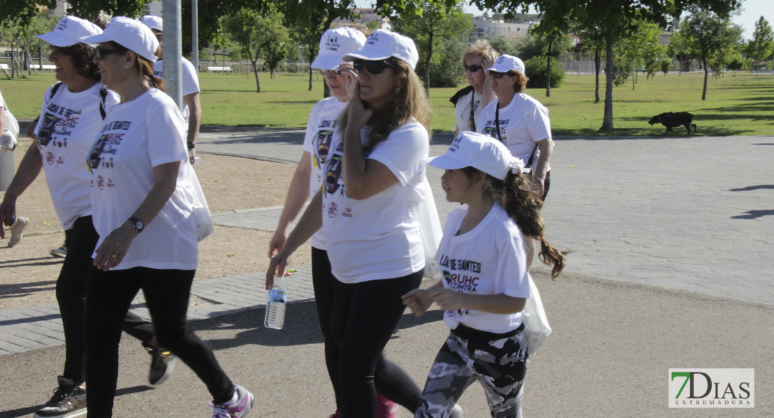 Imágenes de la Marcha Solidaria Lucha de Gigantes Contra el Hambre