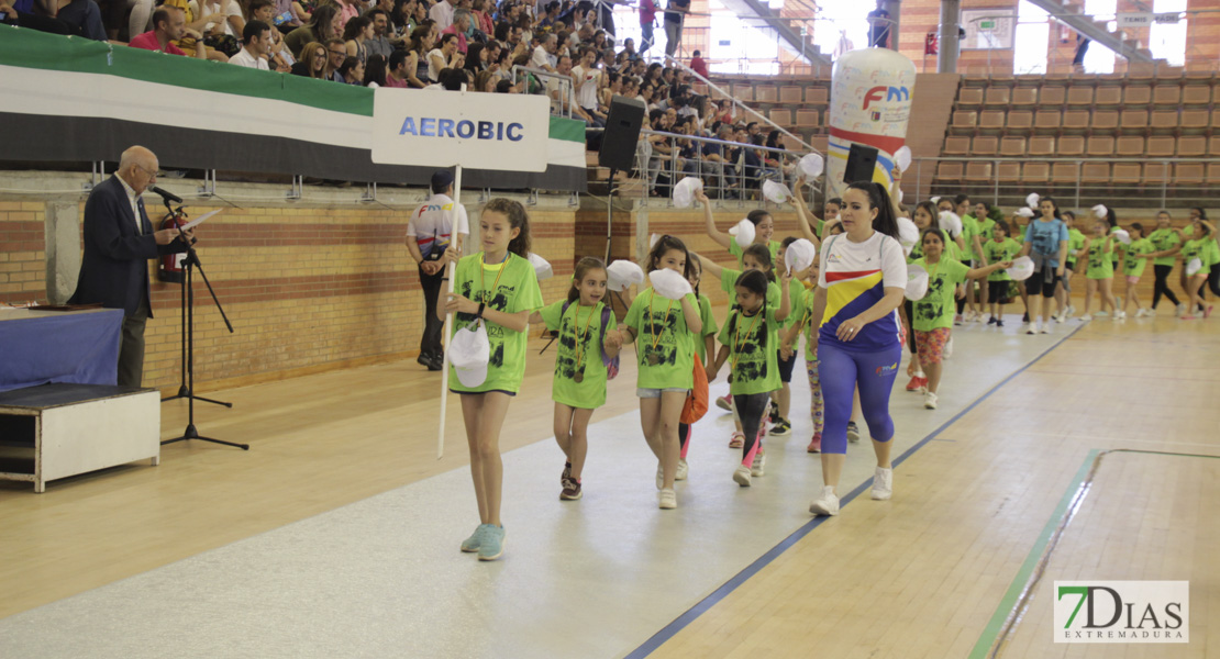 Imágenes de la 31ª Clausura de las Escuelas Deportivas Municipales I