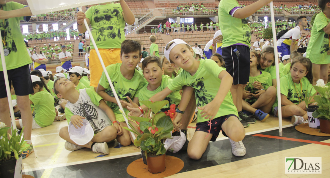 Imágenes de la 31ª Clausura de las Escuelas Deportivas Municipales III