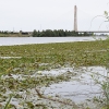 Juntos por Badajoz: “El Río Guadiana sigue enfermo”