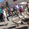 Ambiente en la Feria de la Trashumancia de Valverde de Leganés