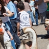 REPOR: Valverdeños y turistas disfrutan de la Trashumancia