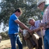 Los valverdeños realizan la ruta de la trashumancia