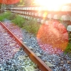 En algunas zonas el tren extremeño no es más que hierro oxidado